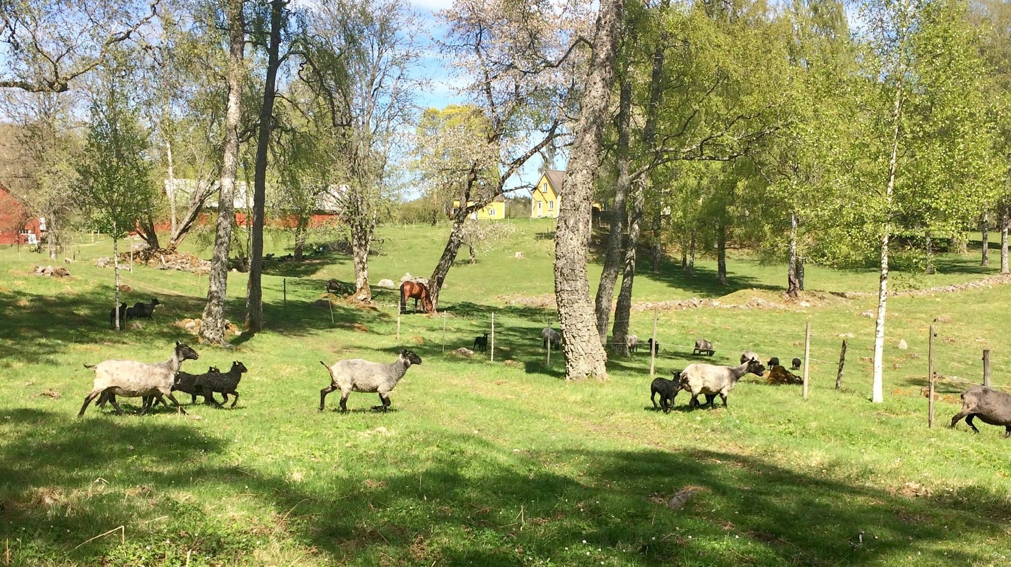 Stort hus i Småland – bild 20 av 24