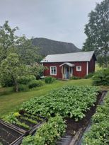 Cozy cottage in the High Coast