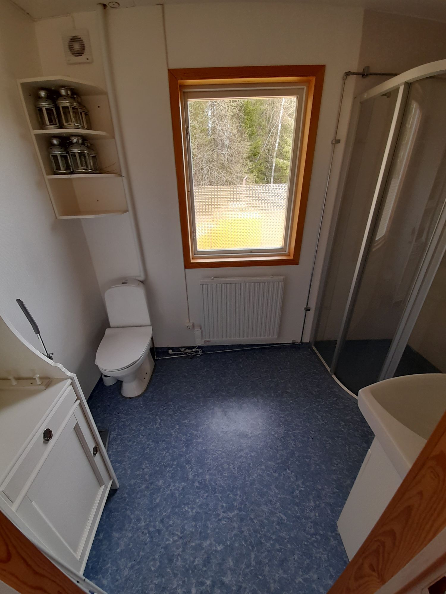 Skogsglänta vid östra Silen – bild 10 av 12