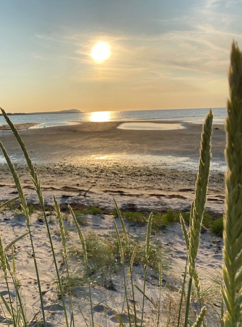 Fantastisk strandnära boende vid Kullabygden!