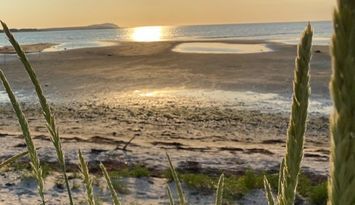 Fantastisk strandnära boende vid Kullabygden!