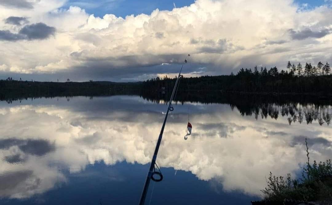 Stuga i trolska Bergslagen – bild 18 av 19