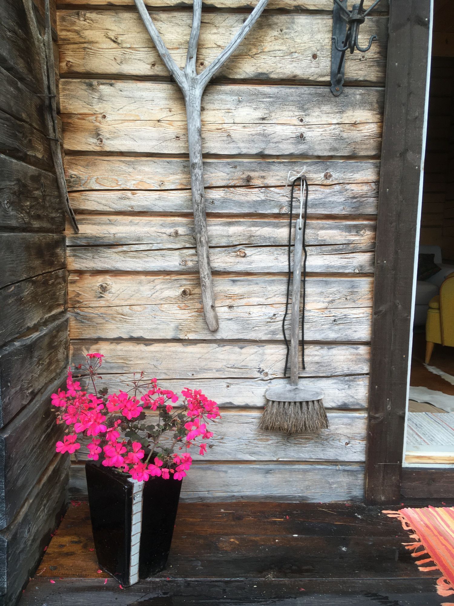 Häbre i Hälsingland – bild 4 av 24