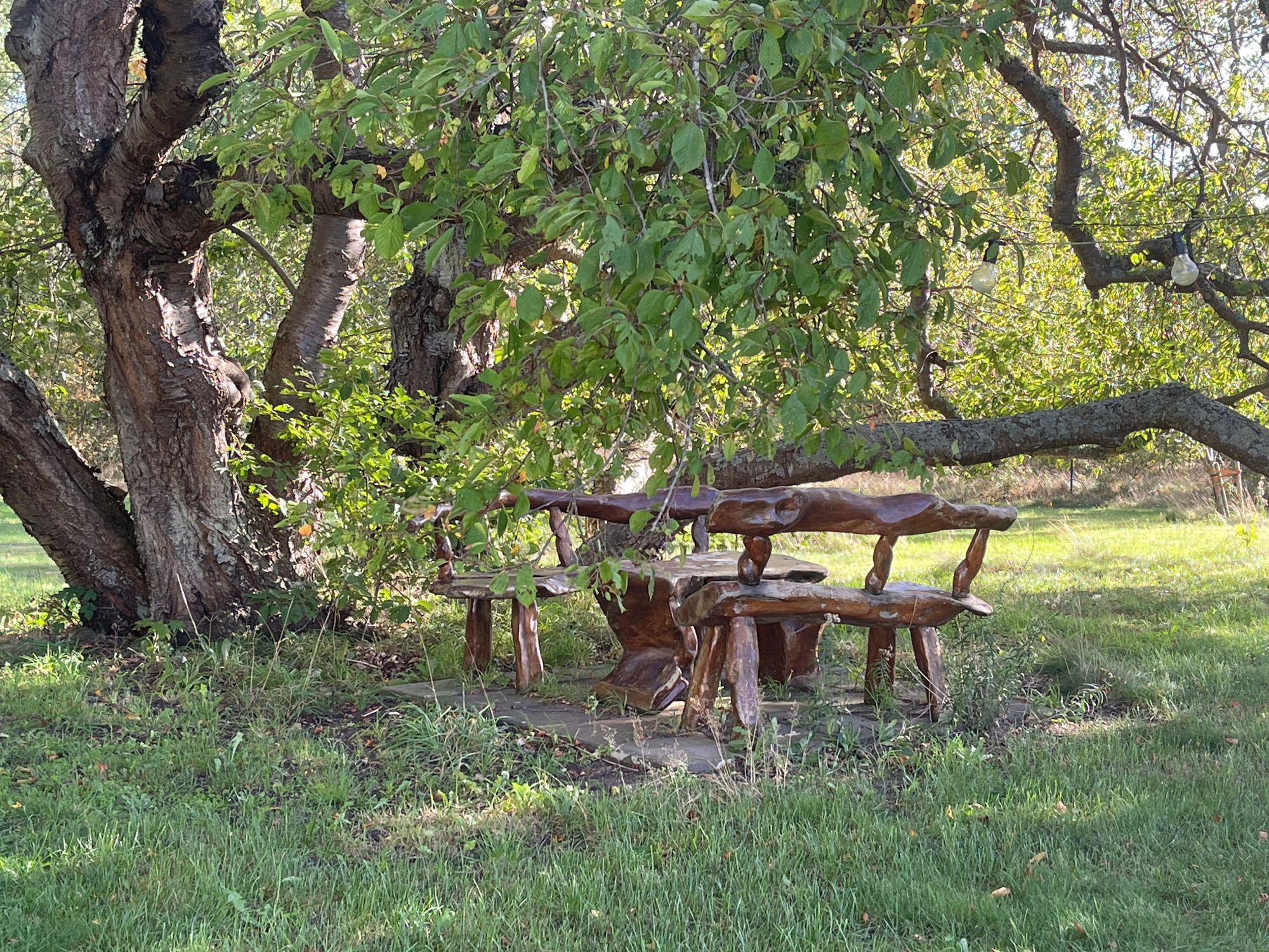 Gästhus i Torhamn – bild 4 av 12