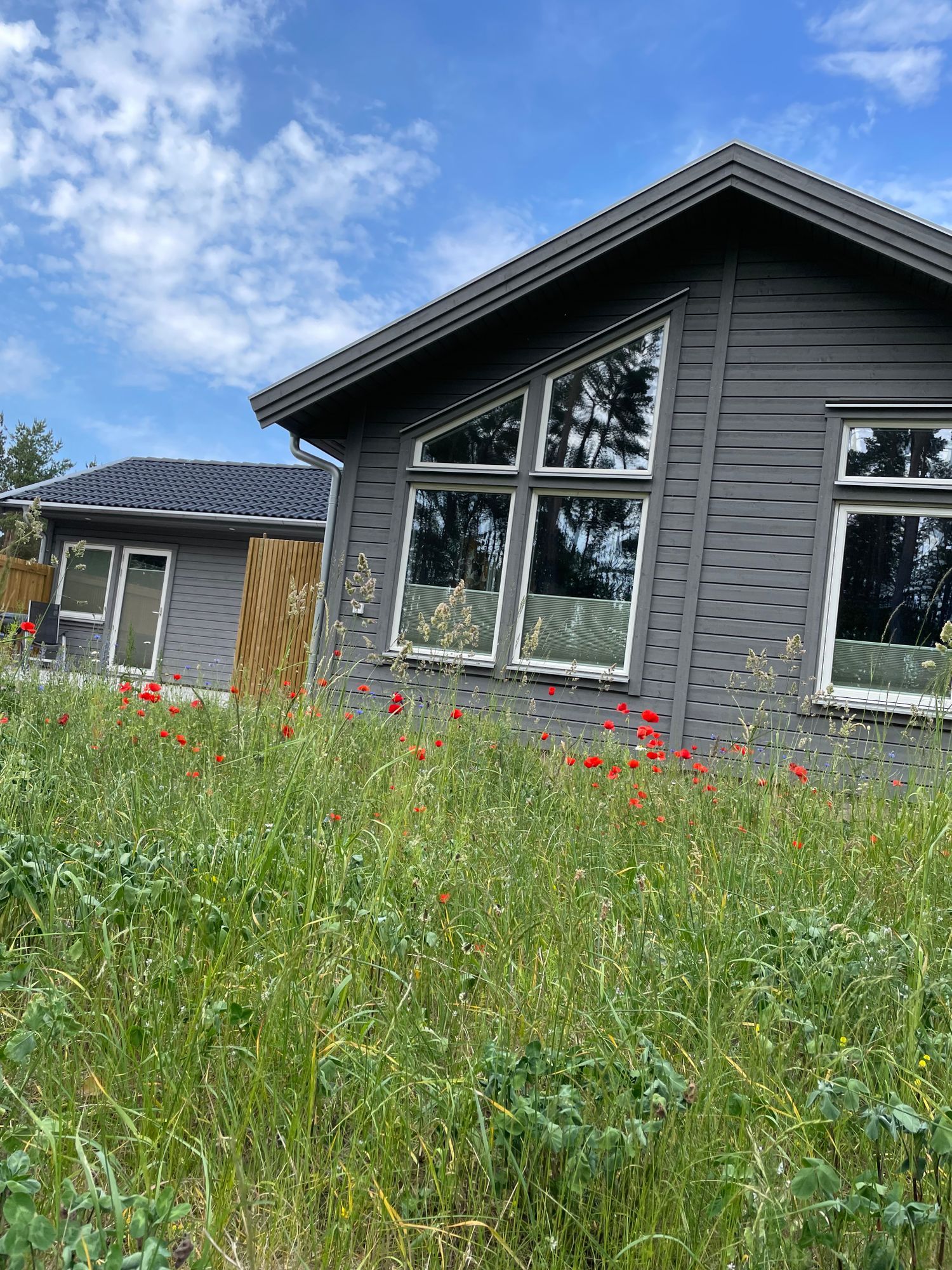 Lugnt läge i Mörbylånga på södra Öland