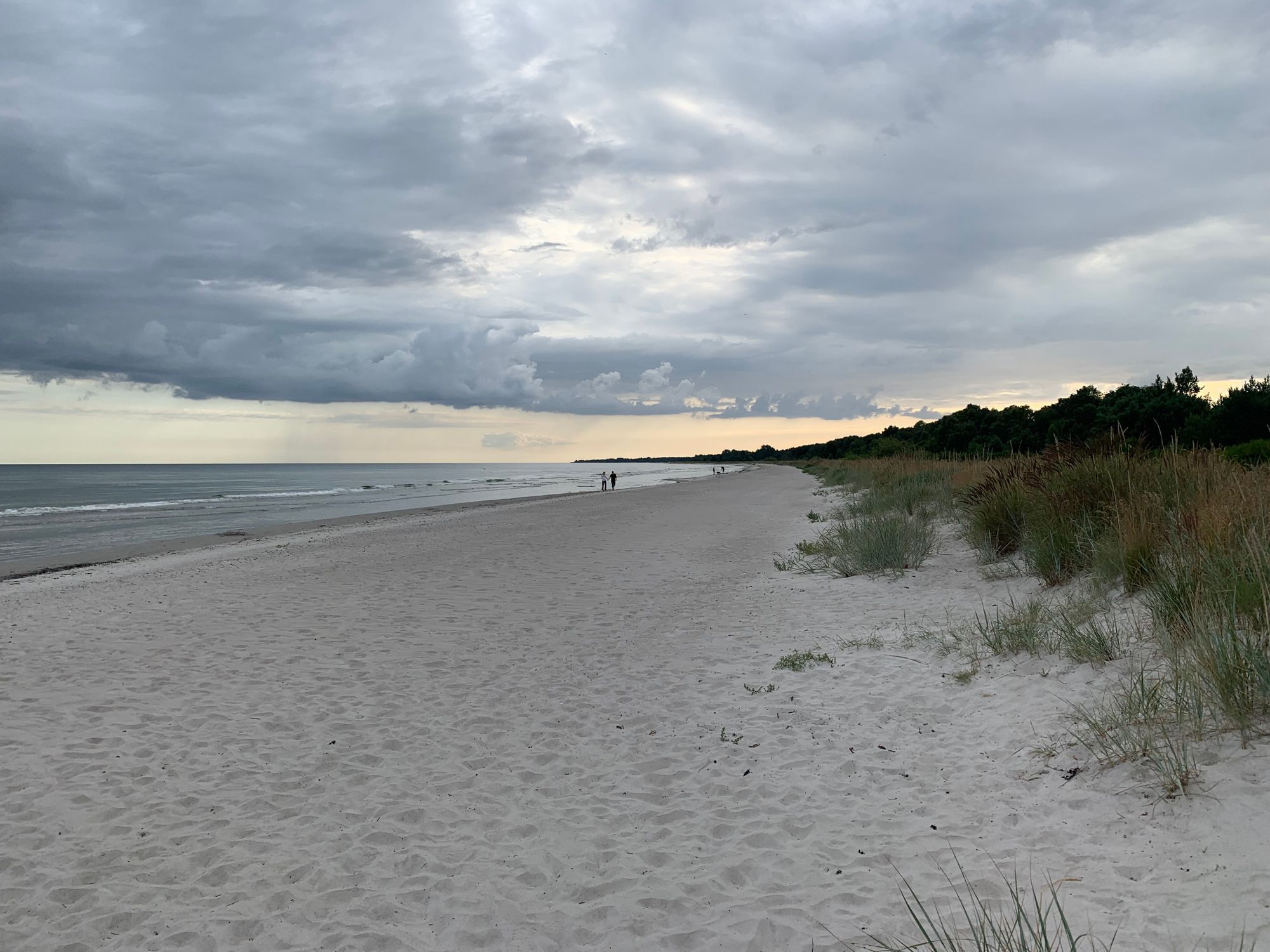 Stuga med stor strandnära tomt utanför Ystad – bild 5 av 17