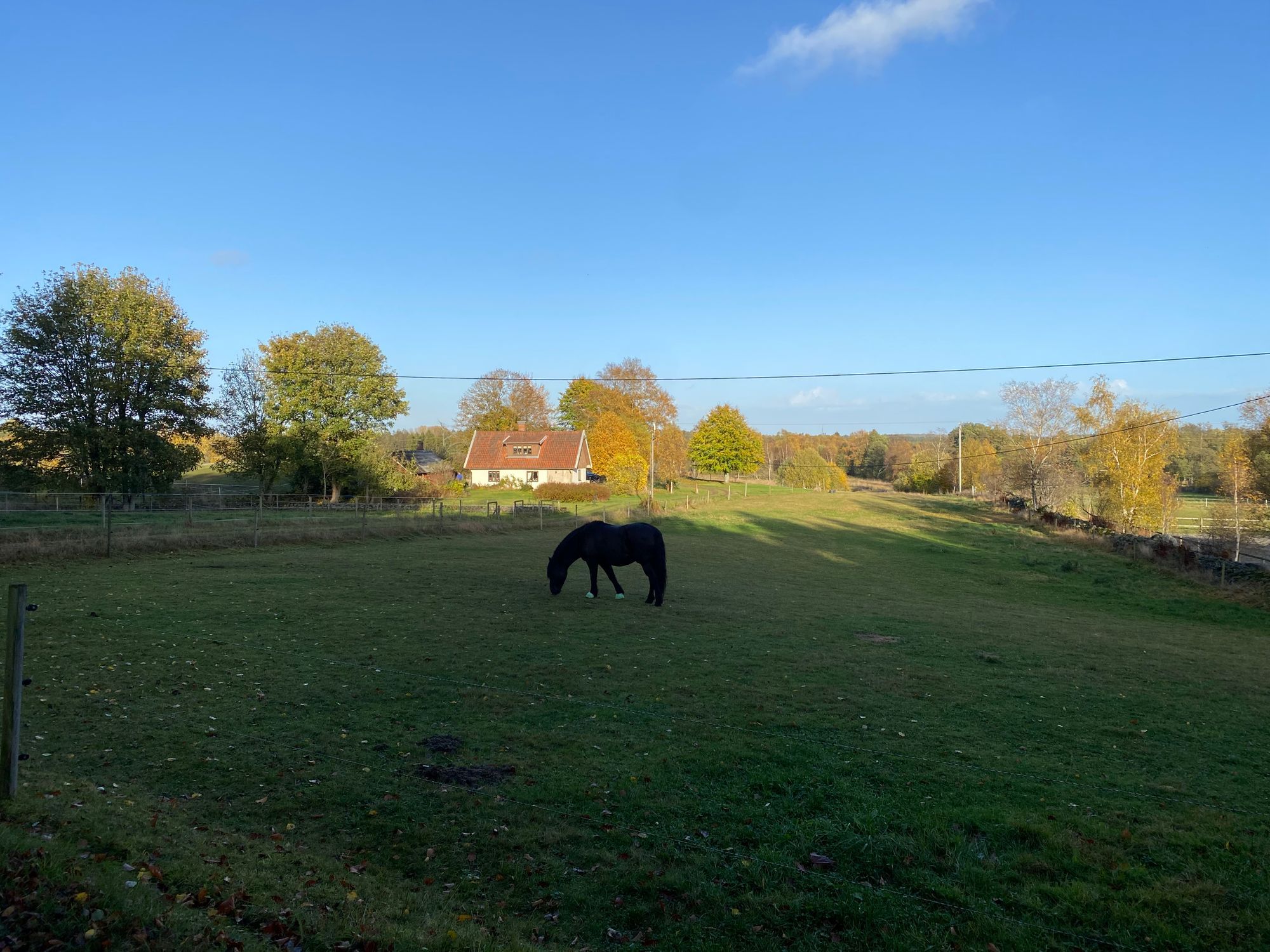 Lantligt torp på Hallandsåsen – bild 9 av 9