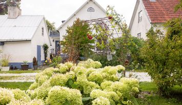 Mysig Häxbo i Kräklingbo på Channel 1 gård