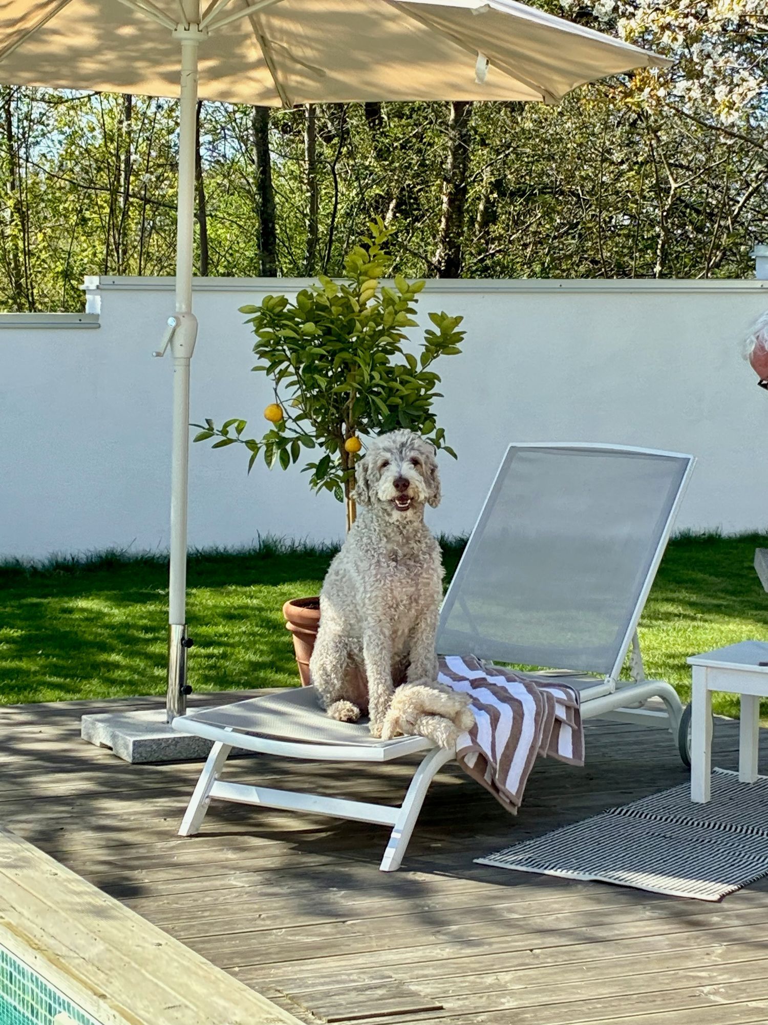 Havsnära poolvilla på Österlen – bild 5 av 16