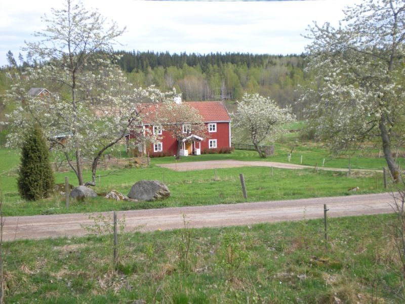 Hyra stuga Gränna, året runt – bild 2 av 24