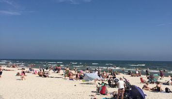 Österlendröm mellan Borrby och Borrbystrand