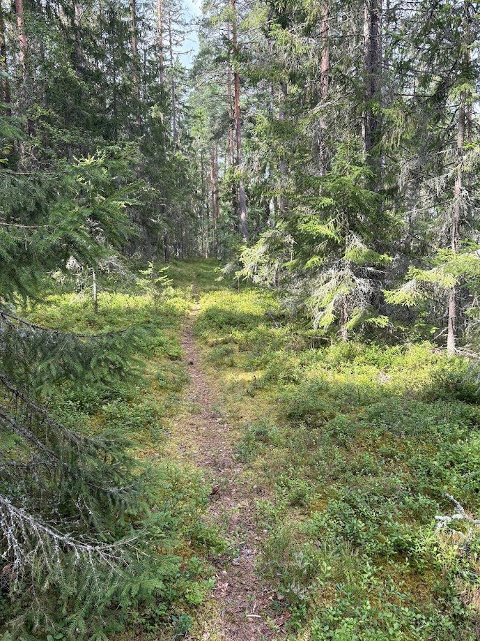 Sjönära gästhus i Verveln – bad 100 m bort – bild 10 av 11
