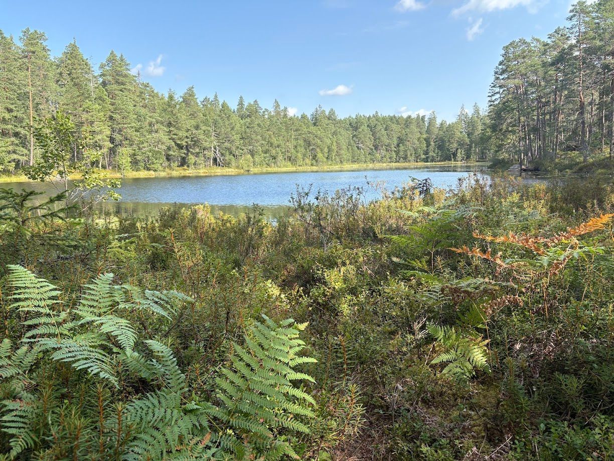 Sjönära gästhus i Verveln – bad 100 m bort – bild 11 av 11