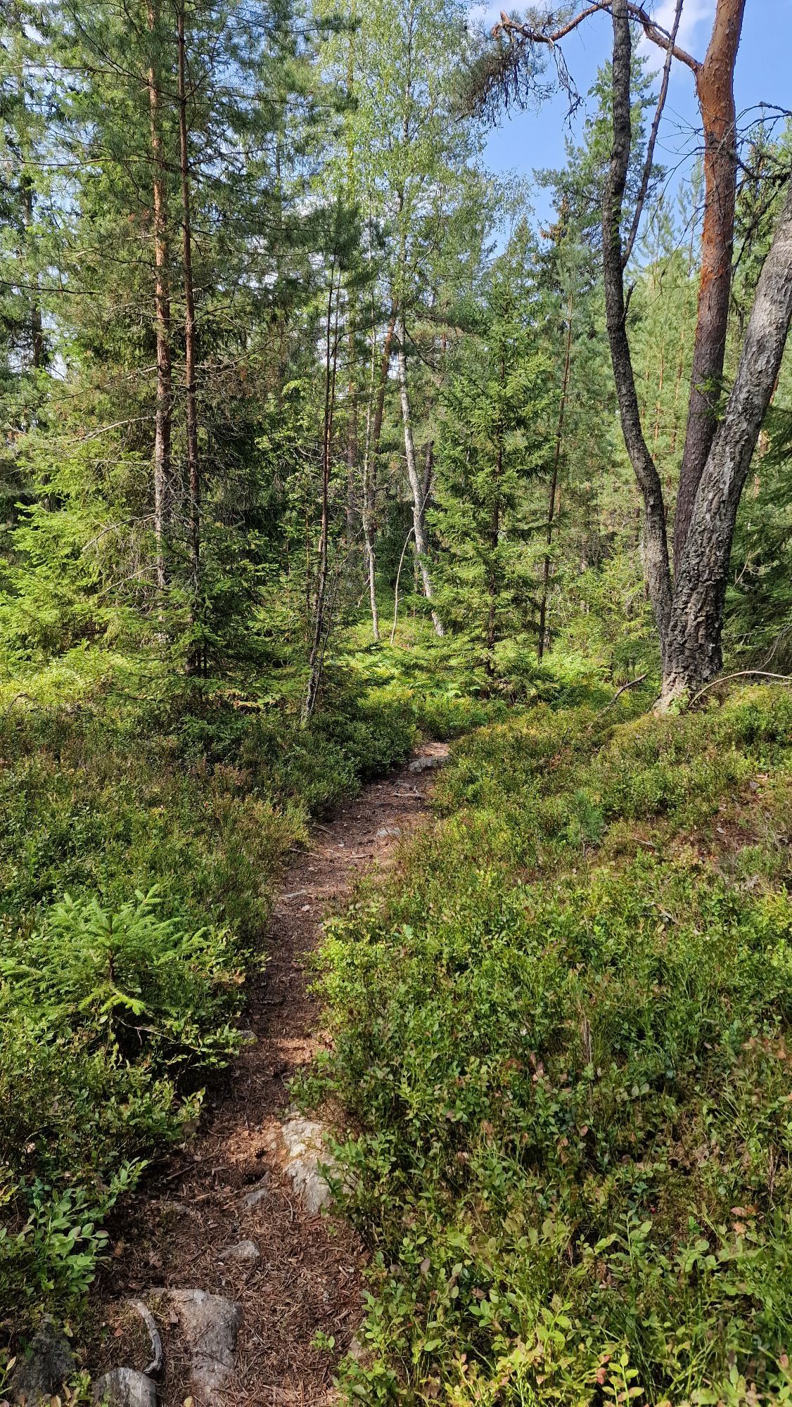 Kombinera Stockholm och njut av naturen – bild 15 av 17