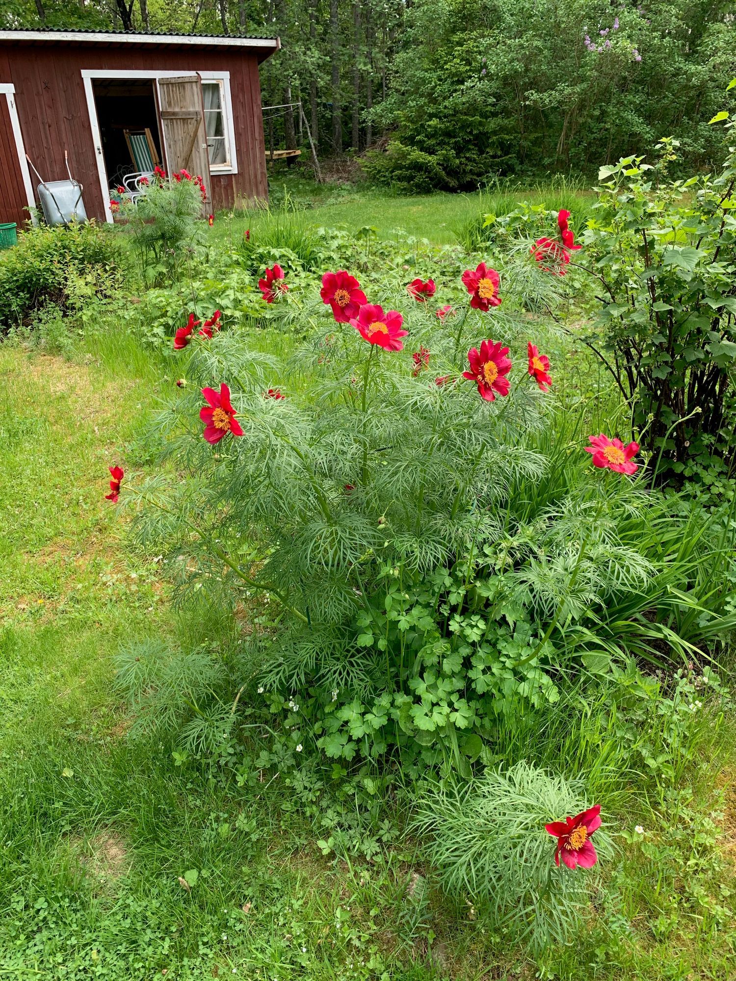 Sommarhus i Möklinta – bild 21 av 24