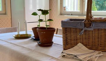 Skärgårdsboende mitt i sommaridyllen på Resarö