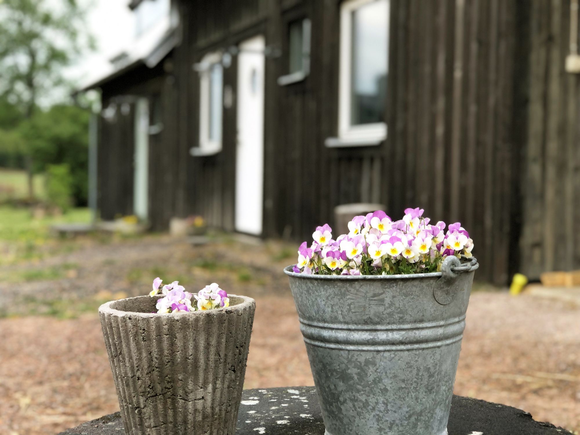 Charmig boende på lantlig gård |SE02059 – bild 3 av 23