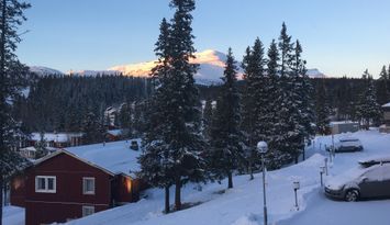 Sportlov i barnvänliga Björnen