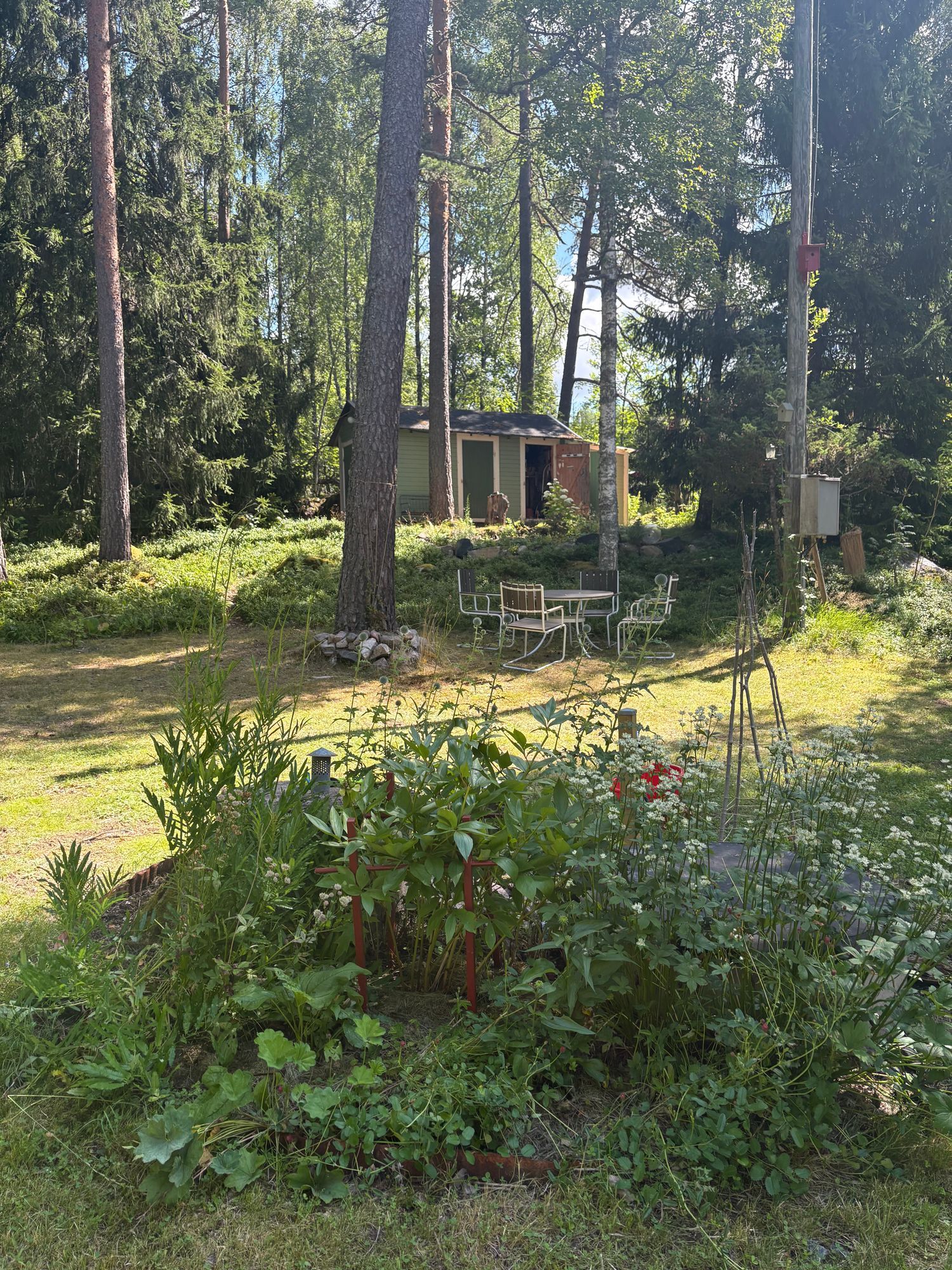 Ombyggt kapell – skogstomt med egen bastu – bild 6 av 14