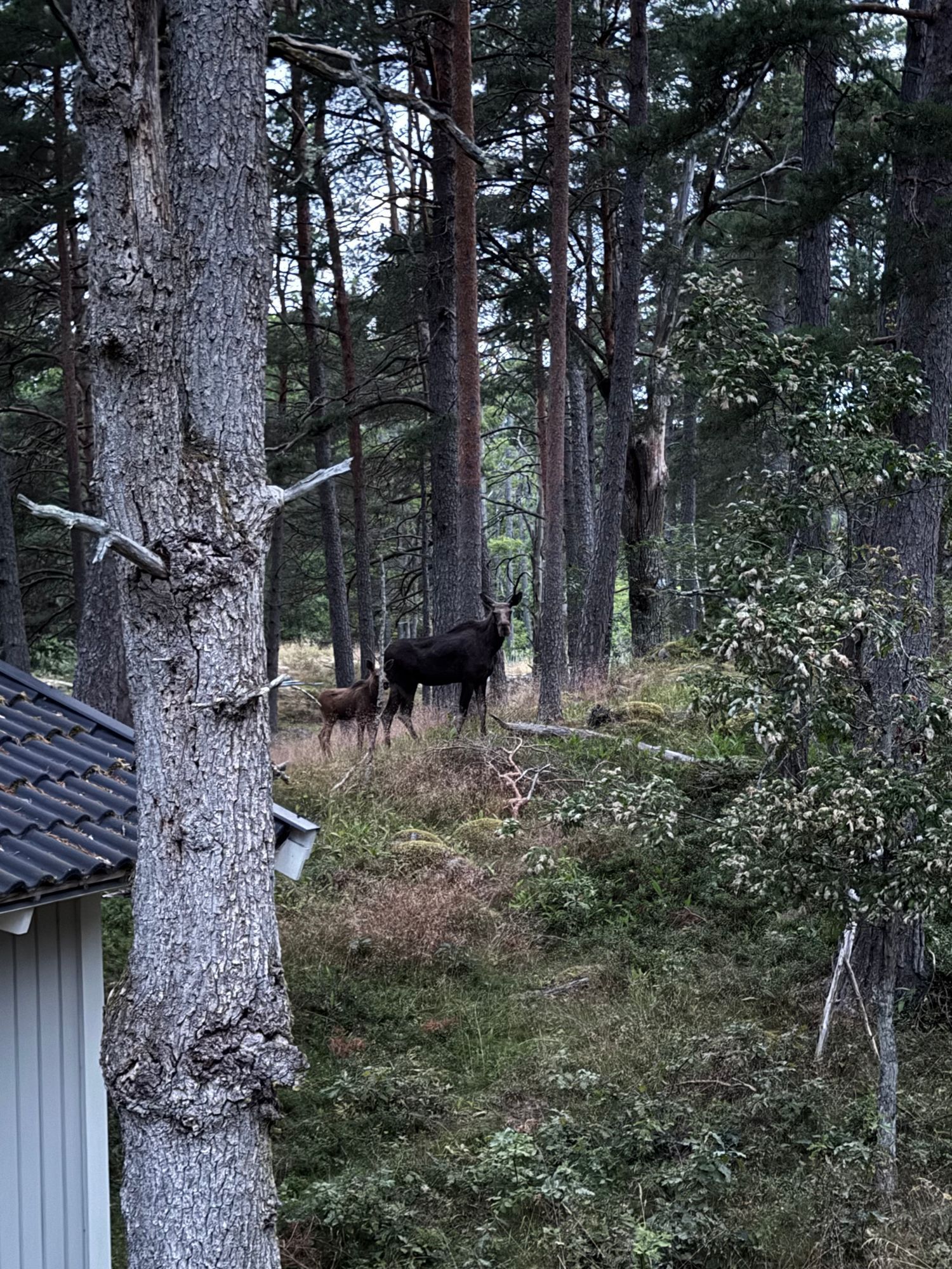 Sommarstuga vid sjön på Vindö – bild 18 av 21