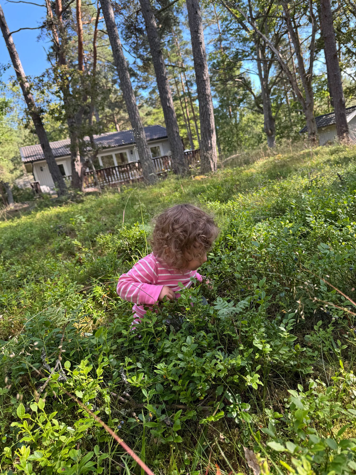 Sommarstuga vid sjön på Vindö – bild 15 av 21