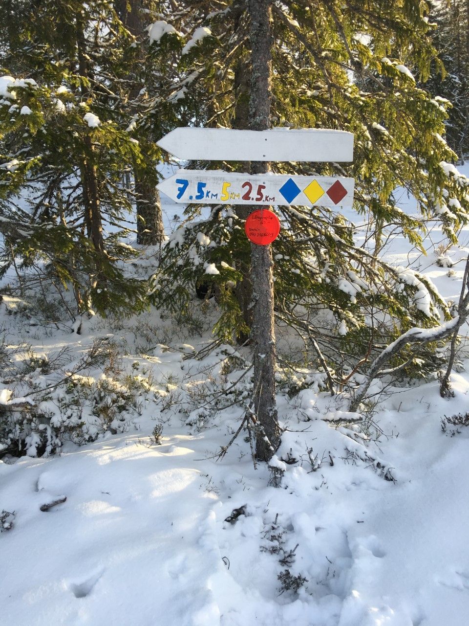 Näsfjället, Sälenfjällen – bild 20 av 20