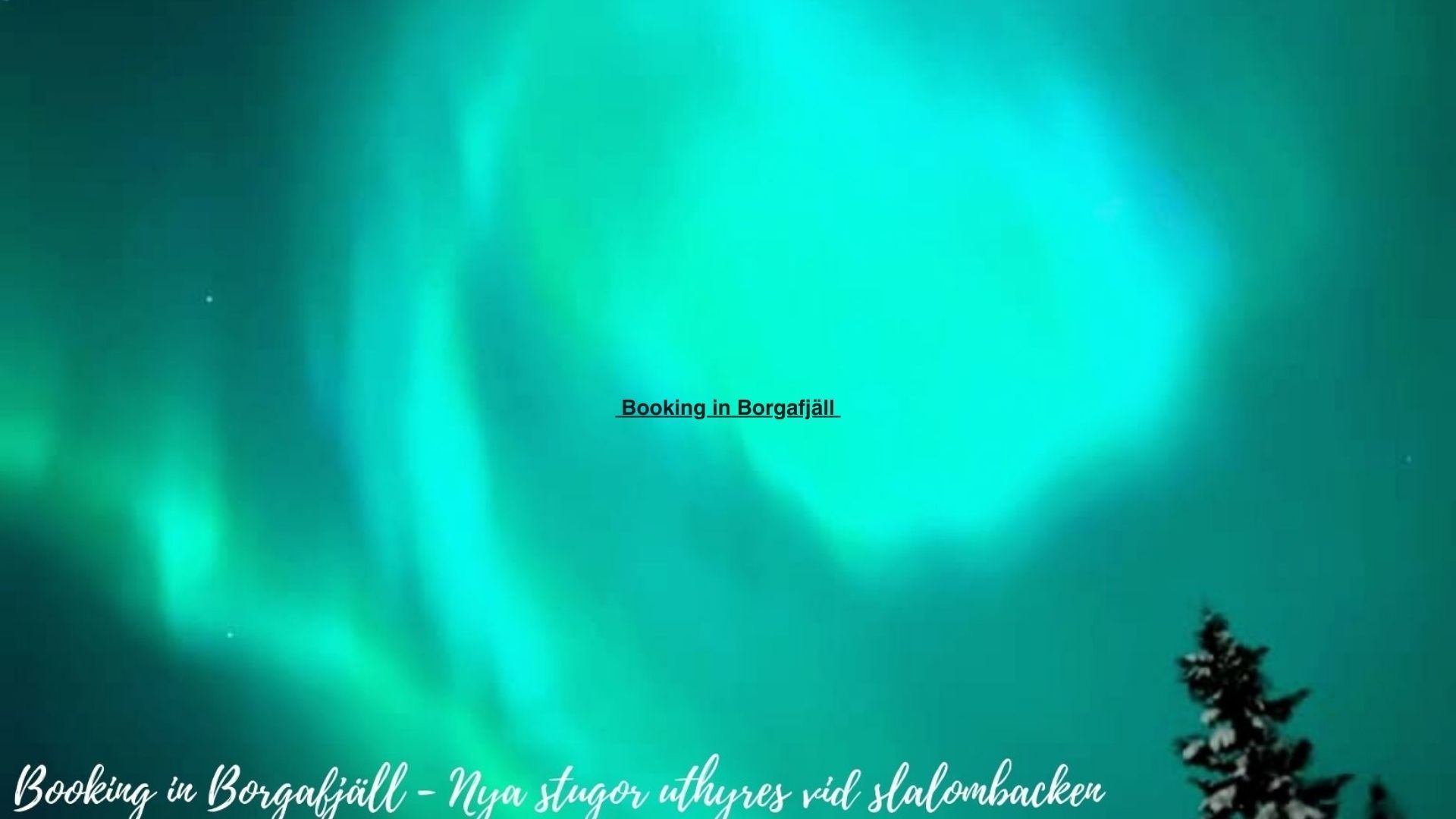 Booking in Borgafjäll - Stugor uthyres vid backen – bild 4 av 24