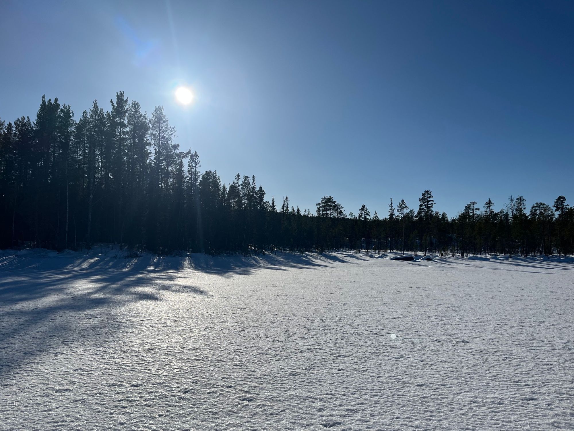 Rejäl off‑grid timmerstuga vackert belägen vid sjö – bild 22 av 23