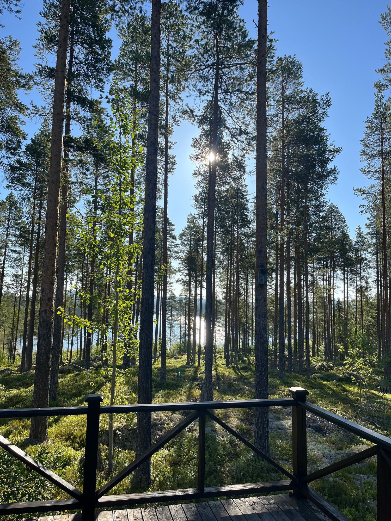 Rejäl off‑grid timmerstuga vackert belägen vid sjö – bild 15 av 23