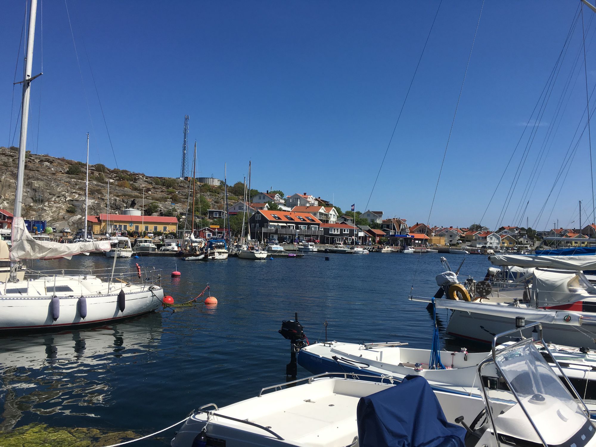 Sommarboende på Bohus-Björkö – bild 15 av 17