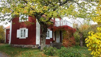 Stort, Charm, Genuint, Skärgård, Hund, nära Havet.