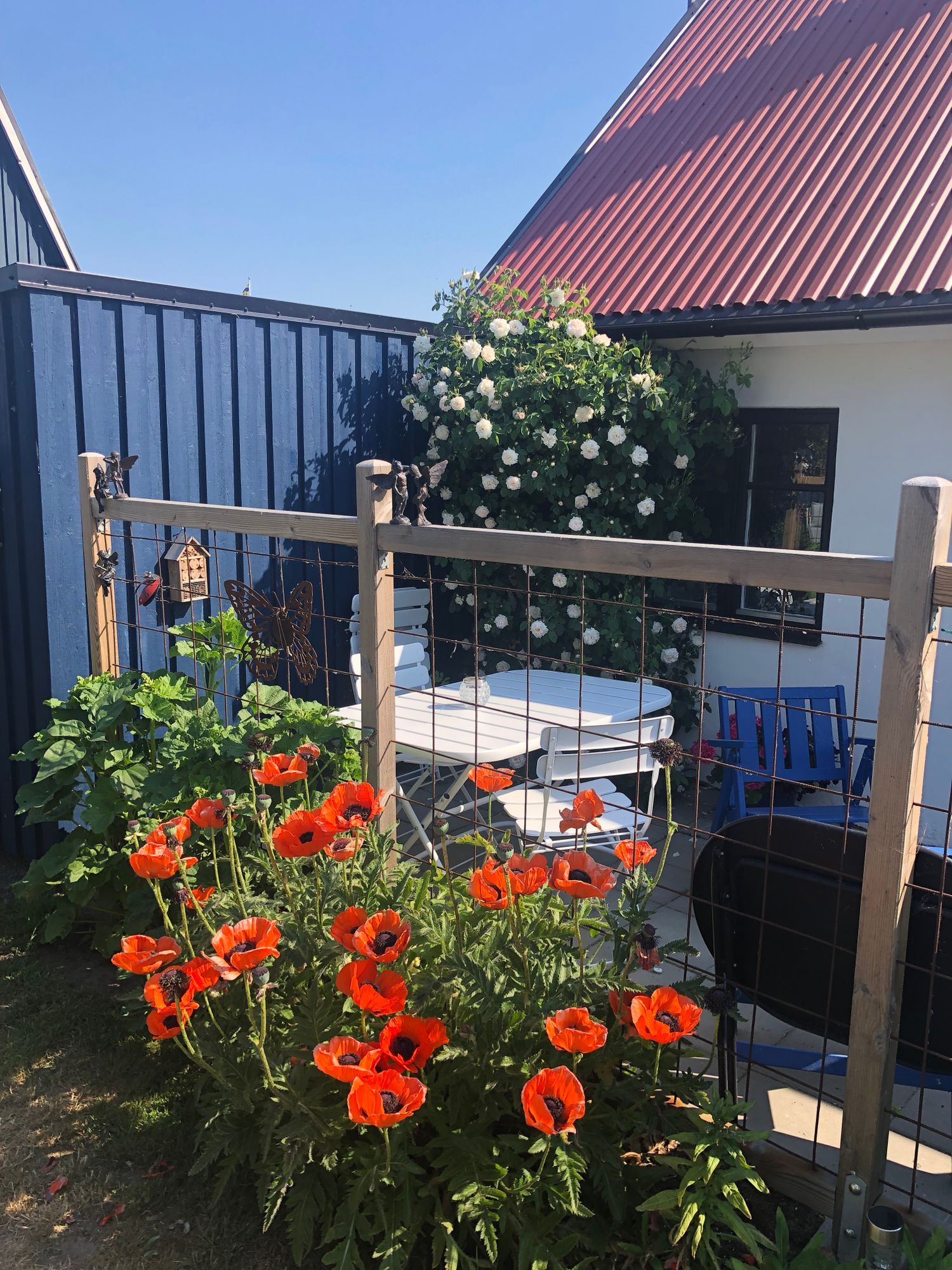 Målarens, Kåseberga, Österlen – bild 12 av 12