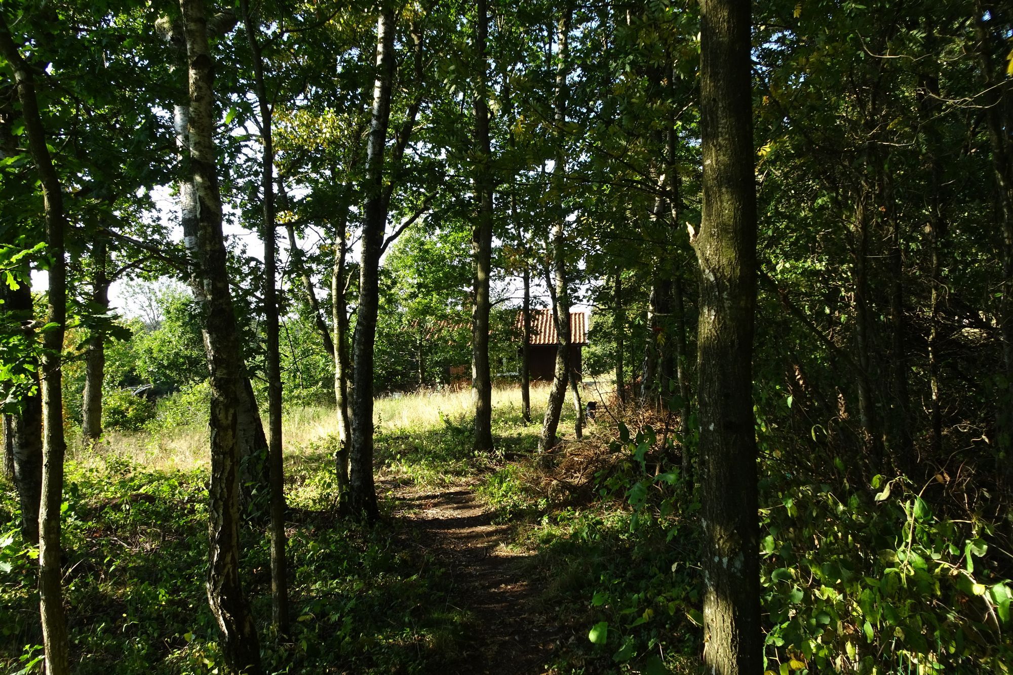 Falkenberg-Ringsegård-Skrea-800 m till stranden. – bild 3 av 24