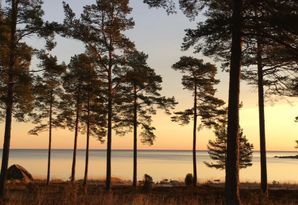 Cottage by the sea