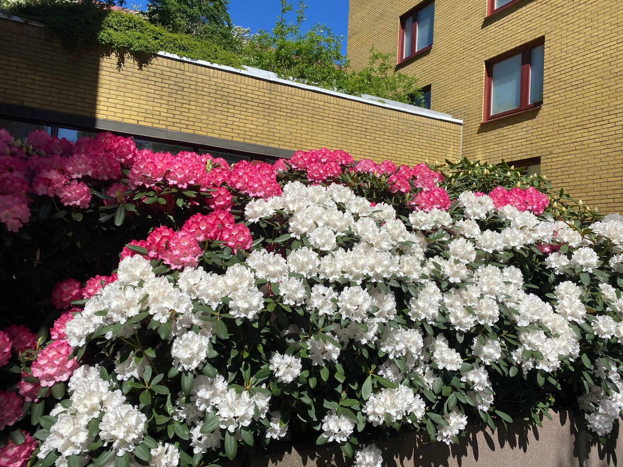 Lägenhet – bild 6 av 8