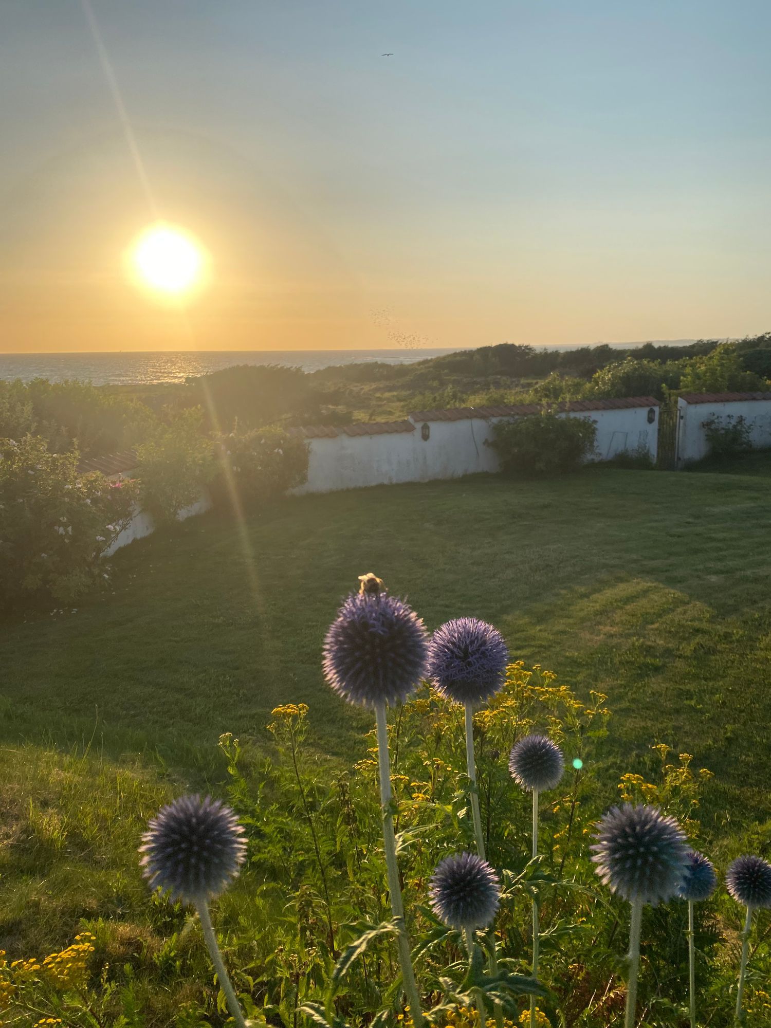 Hus vid havet – bild 9 av 10