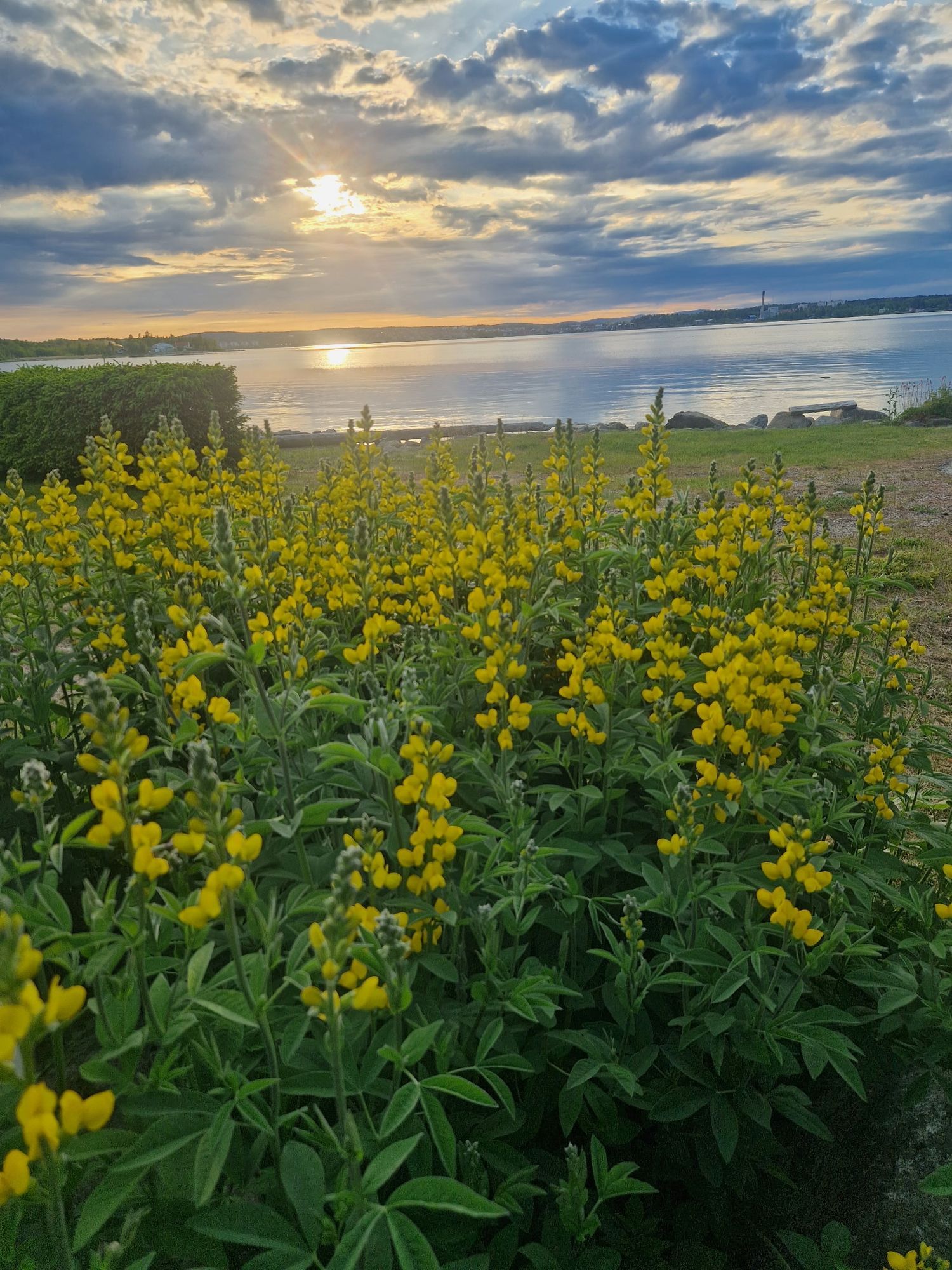 Fritidshus vid havet i Hudiksvall – bild 8 av 22