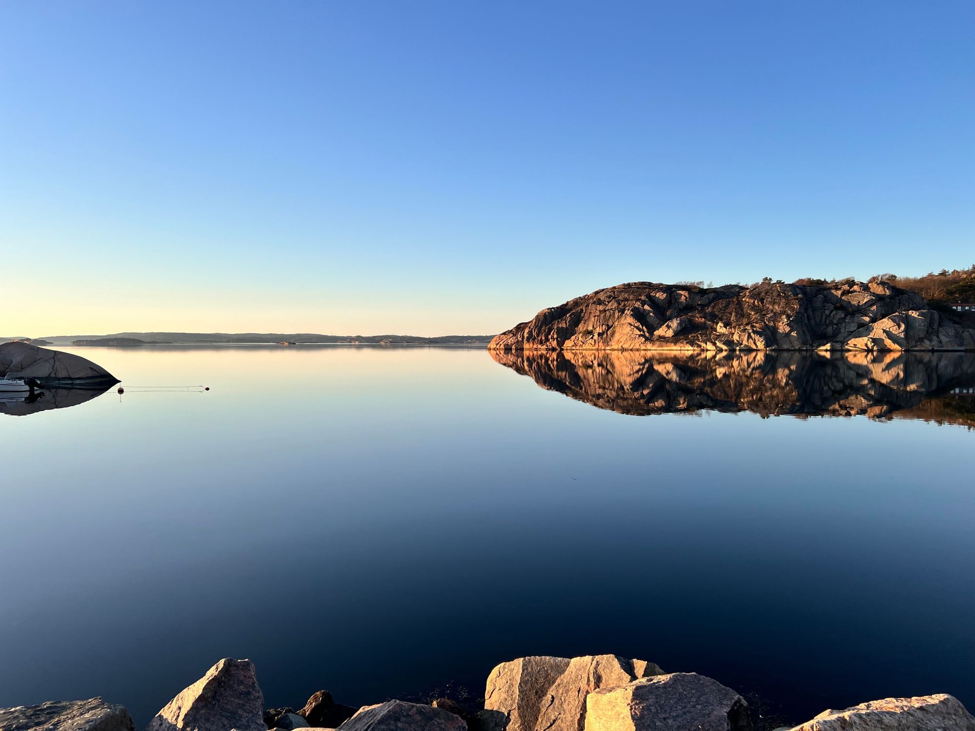 Skogsbrynet – bild 2 av 24