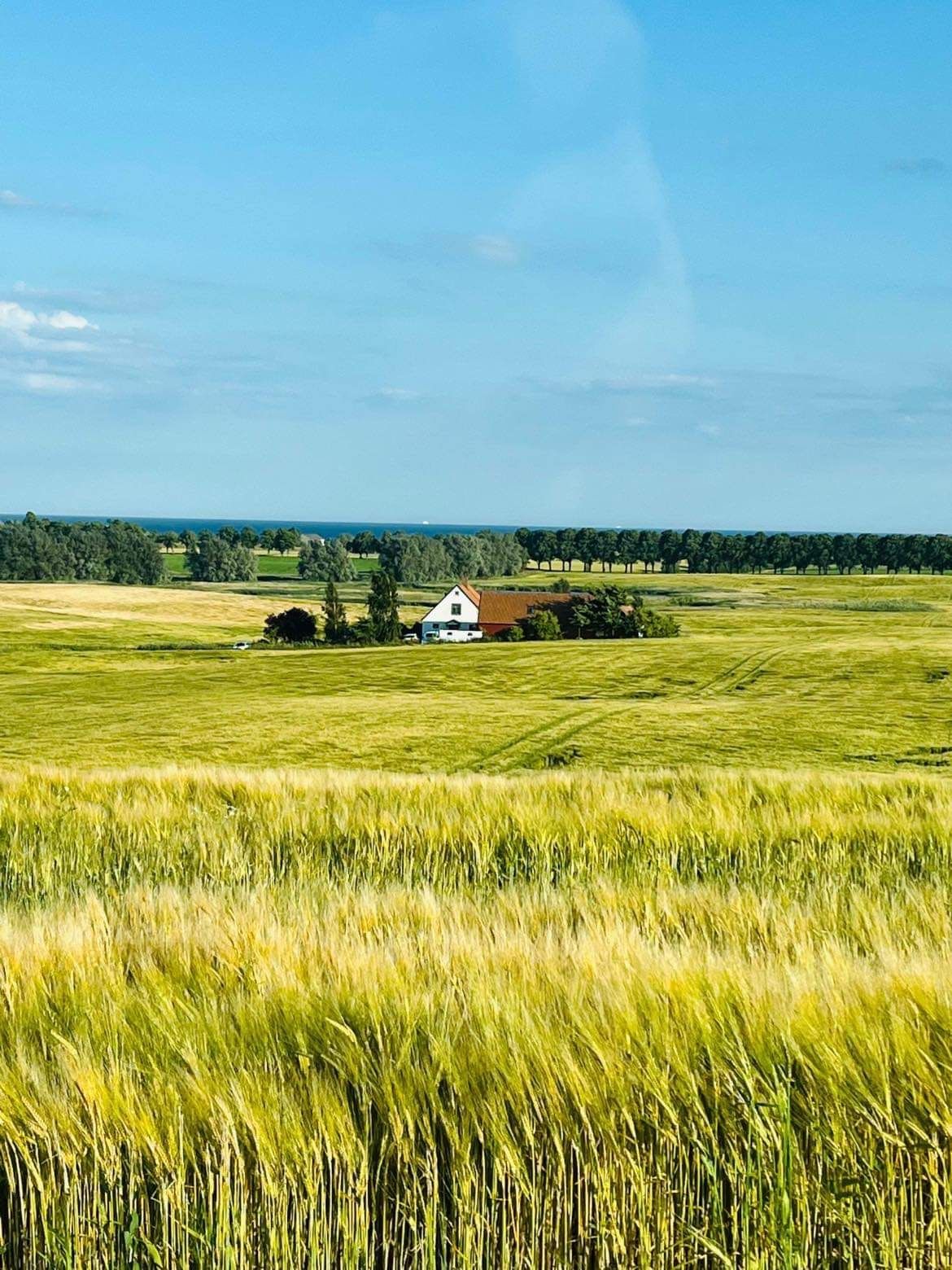 Snårestad b&b