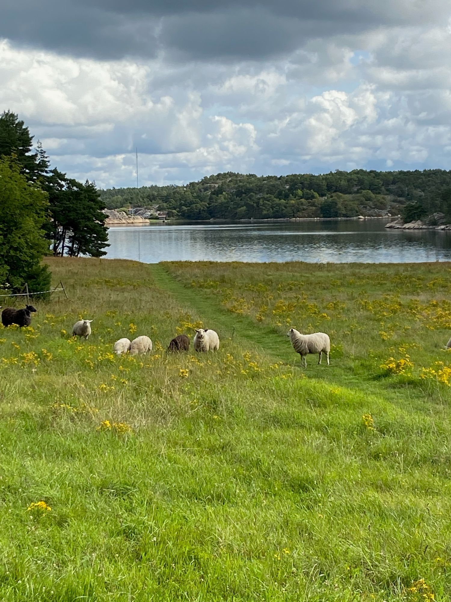 Sommarhus i Havstenssund med sjöbod – bild 23 av 24