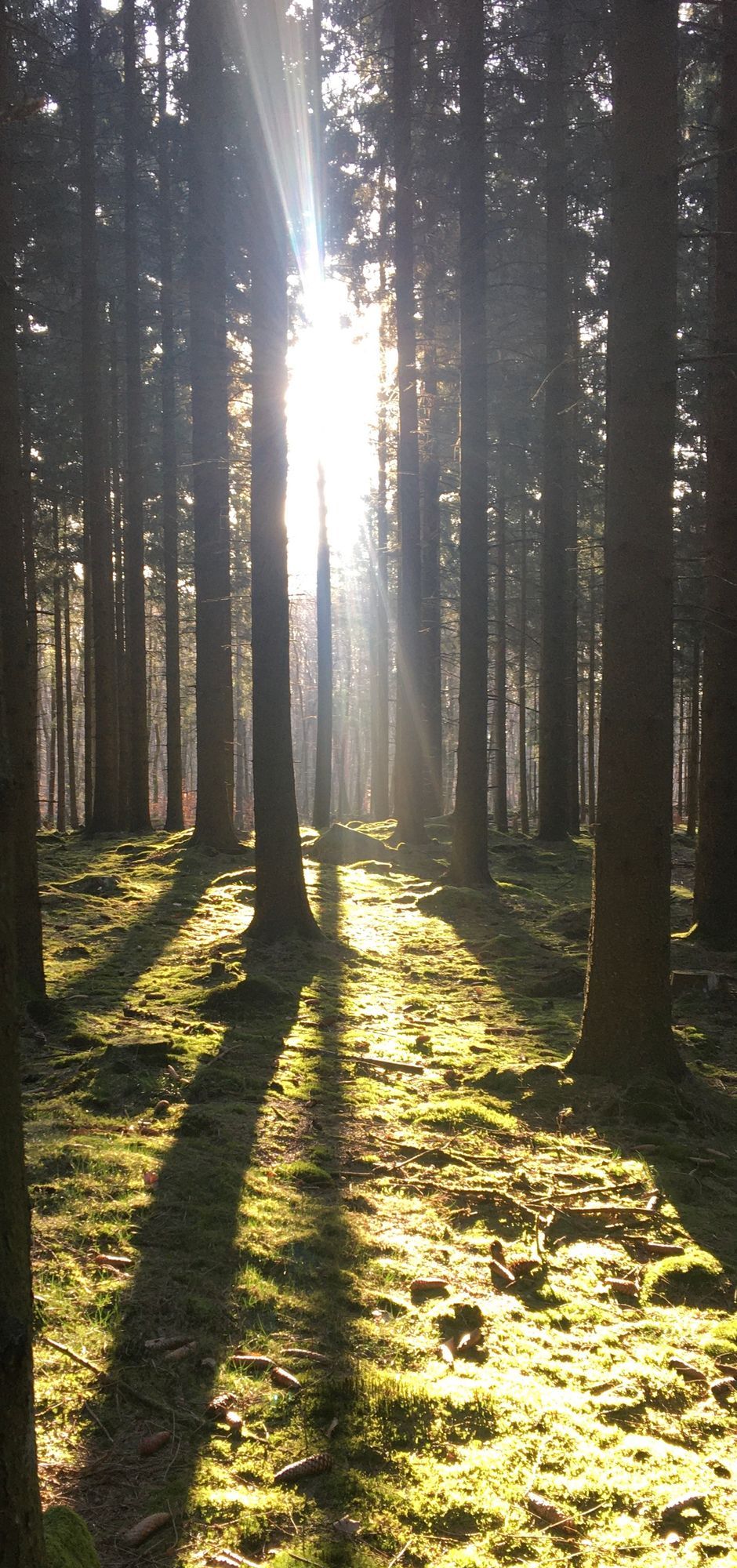 Skogsnära ferieboende på Linderödsåsen – bild 20 av 23