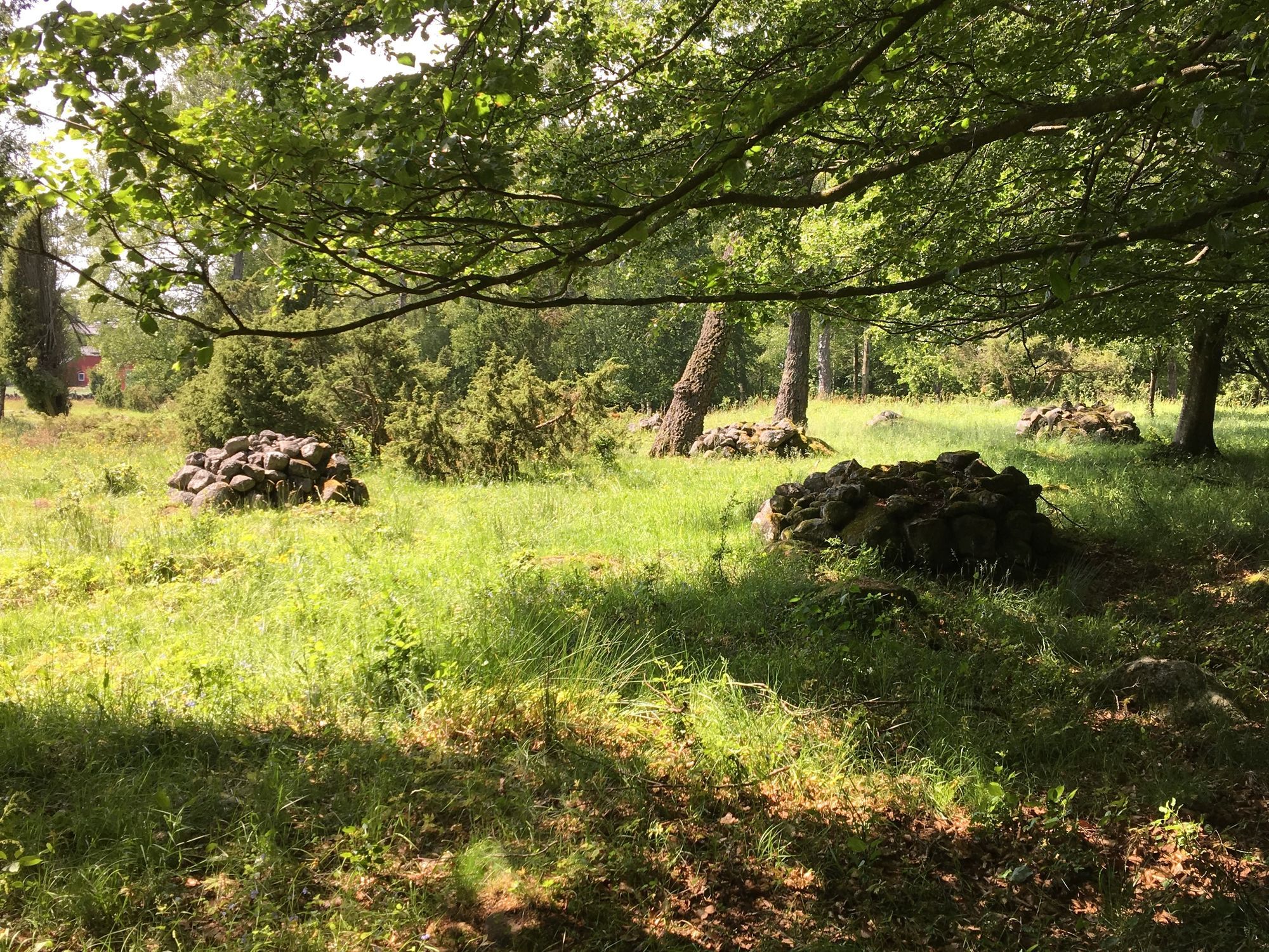 Skogsnära ferieboende på Linderödsåsen – bild 19 av 23