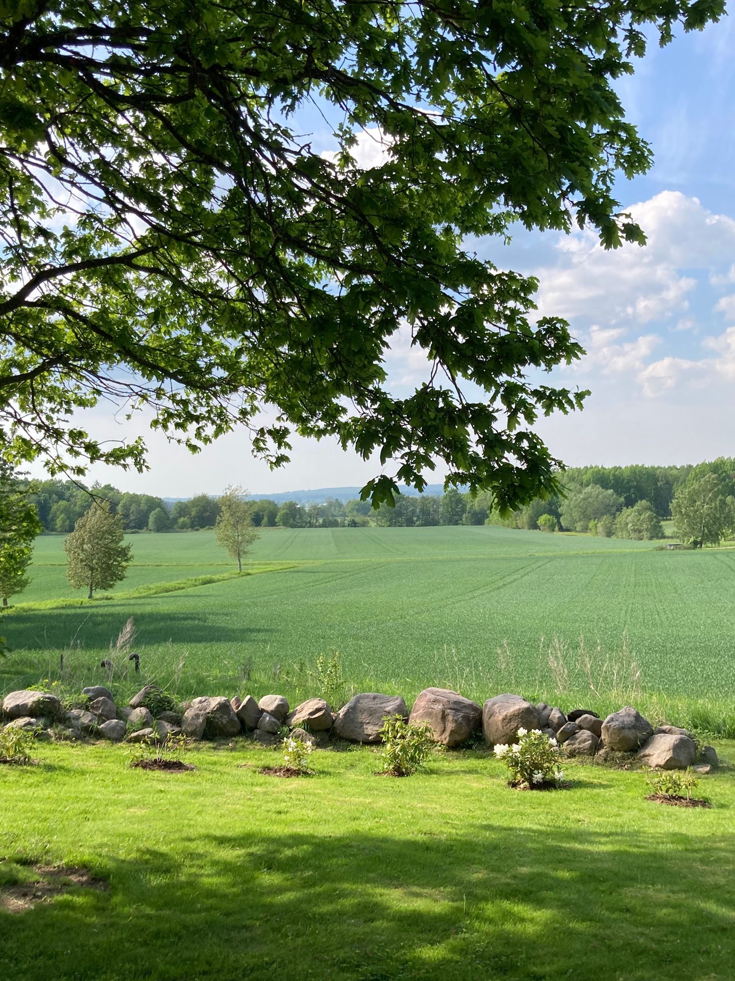 Lilla huset Lundsbrunn – bild 18 av 22
