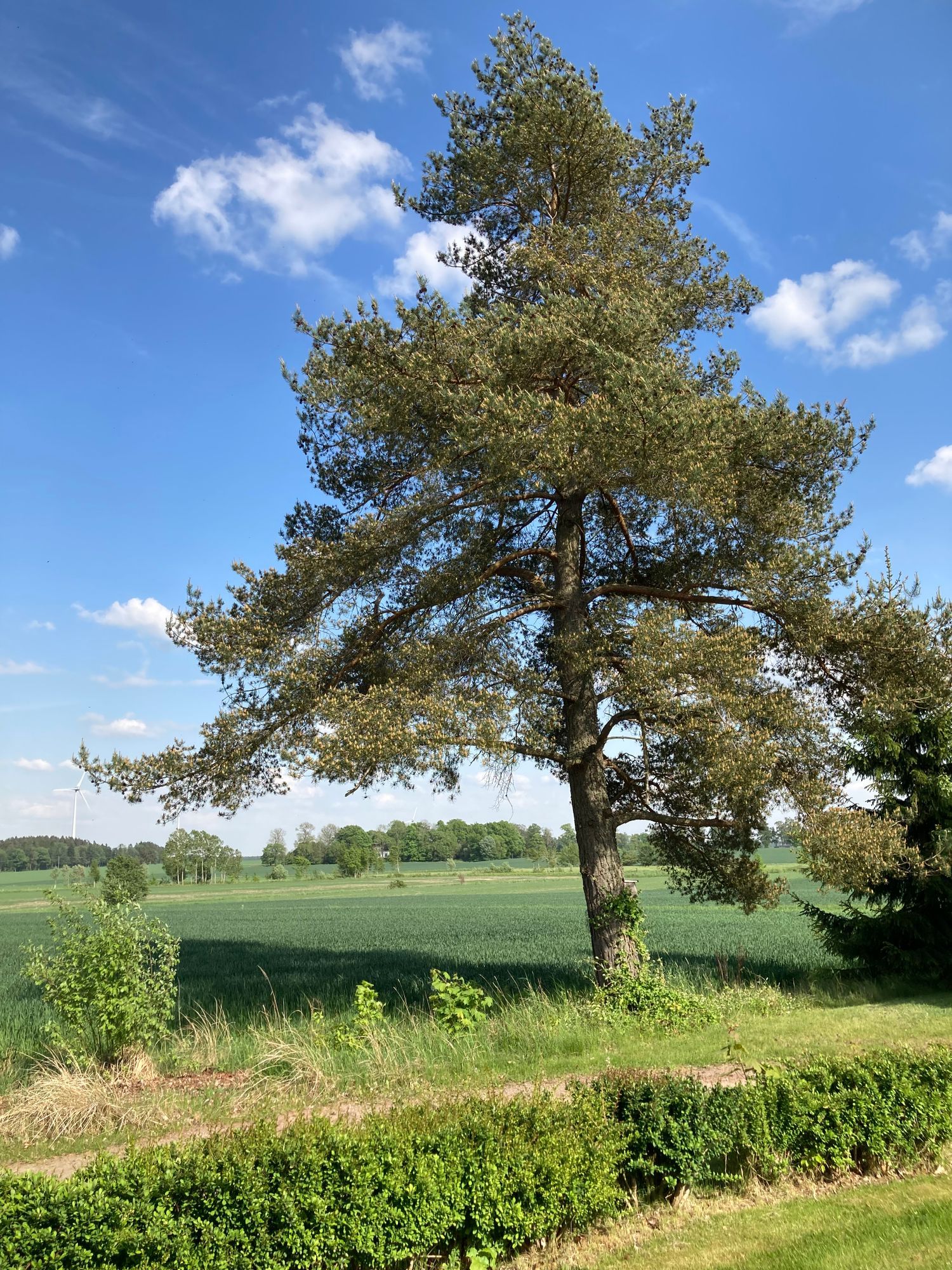 Lilla huset Lundsbrunn – bild 20 av 22