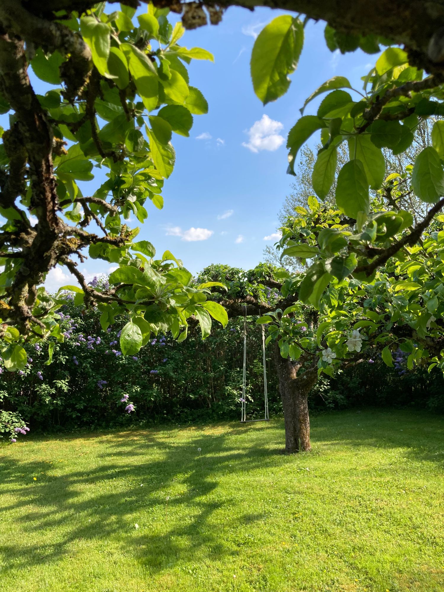 Lilla huset Lundsbrunn – bild 19 av 22
