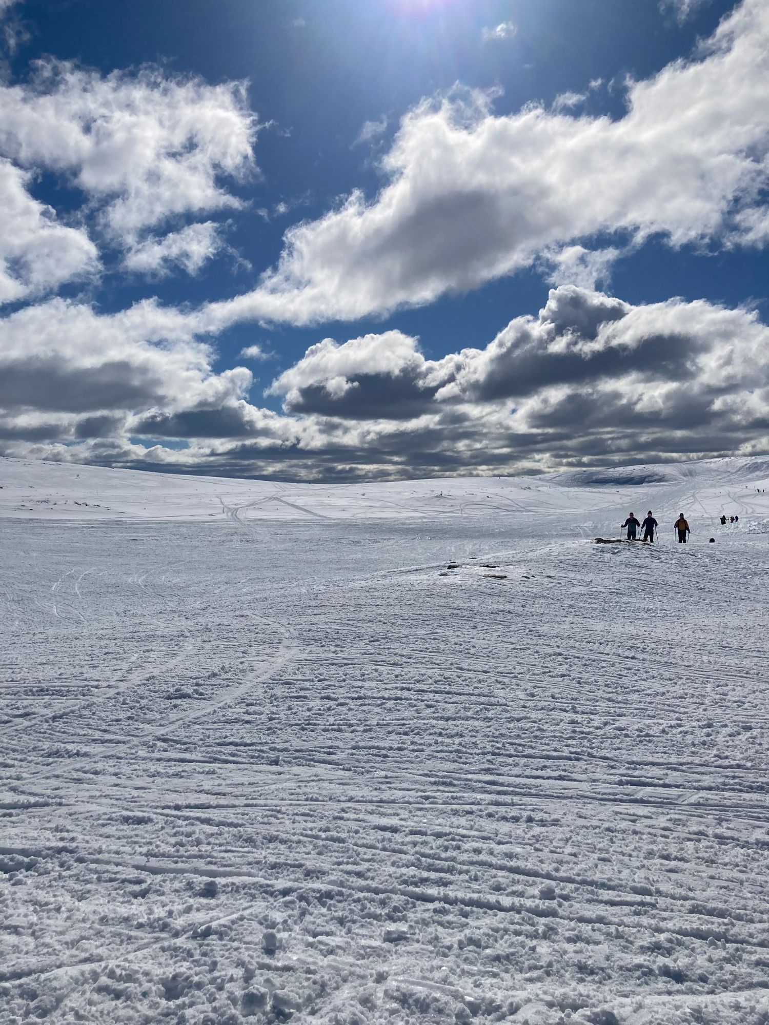 Vemdalsskalet/Vemdalen, Ski-in/out. – bild 14 av 16