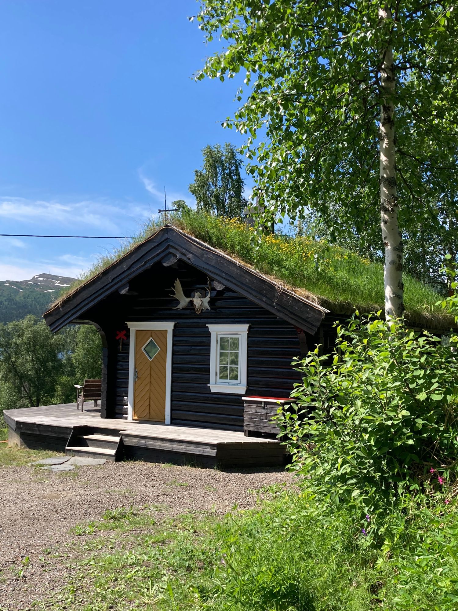 Mysig stuga i Ankarvattnet, Vildmarksvägen