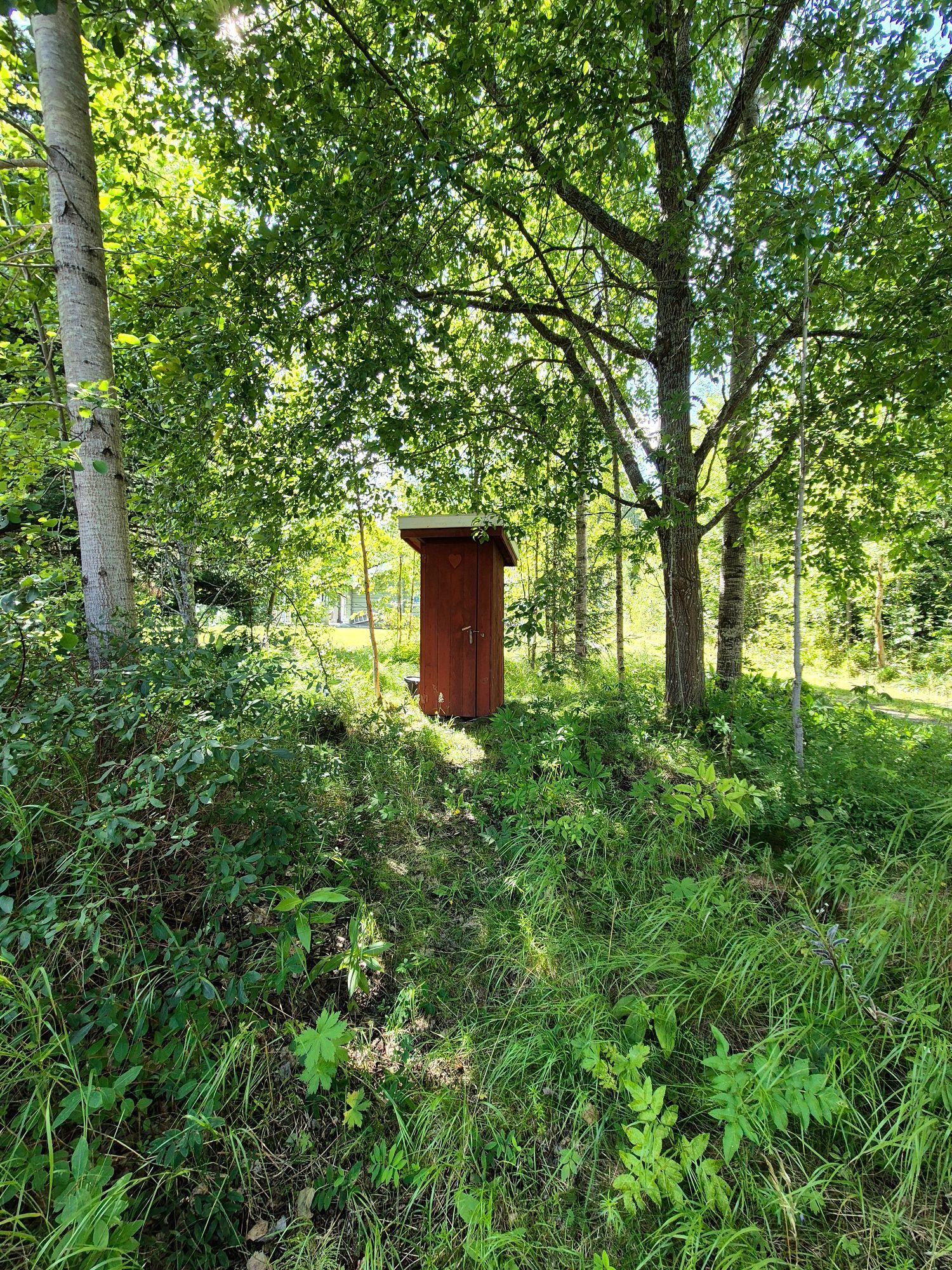 Morfars stugor vid sjön Väsman – bild 21 av 22
