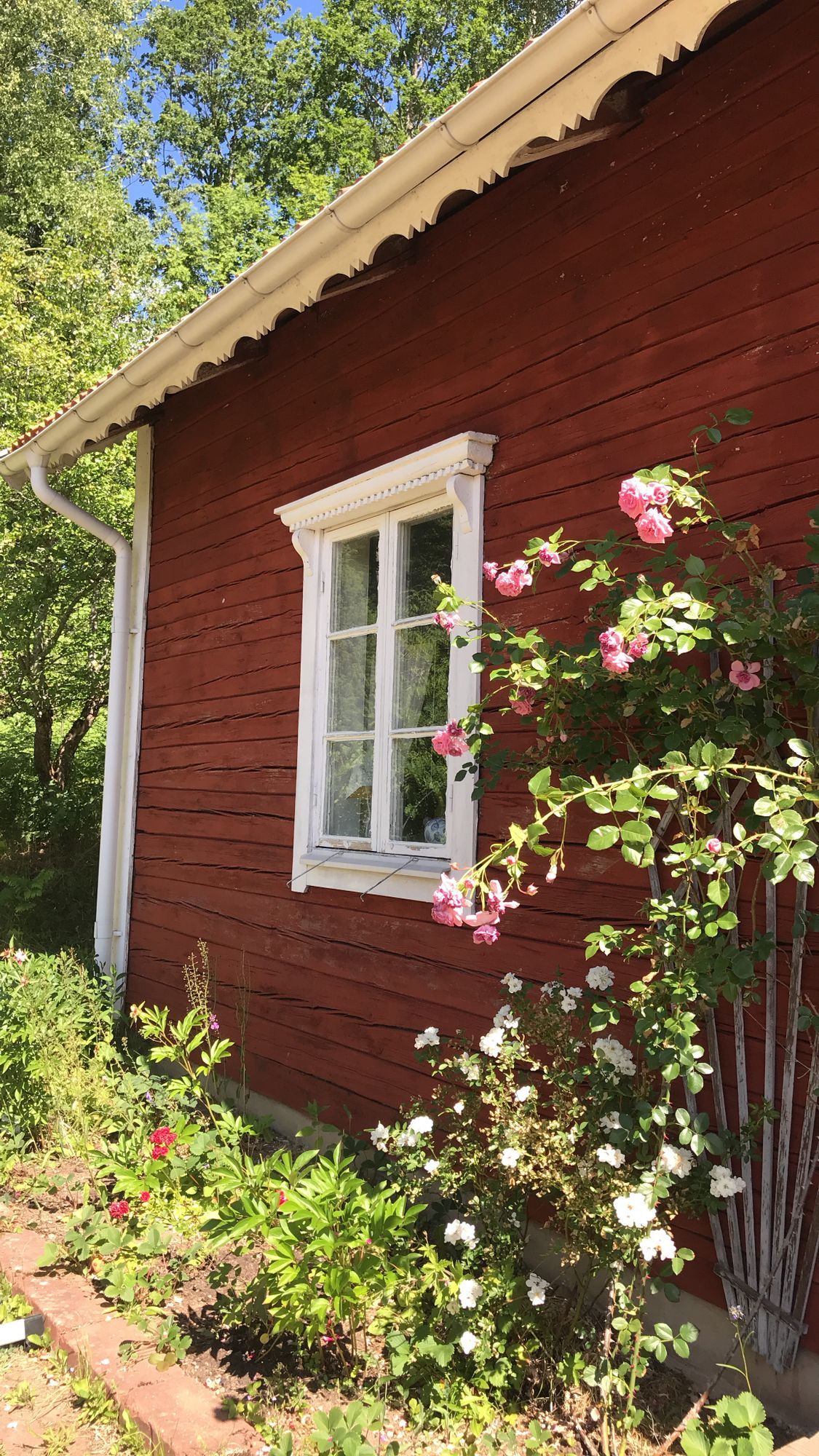 Mysig stuga i vackra omgivningar – bild 3 av 14