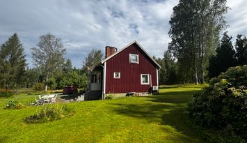 Skogsparadis